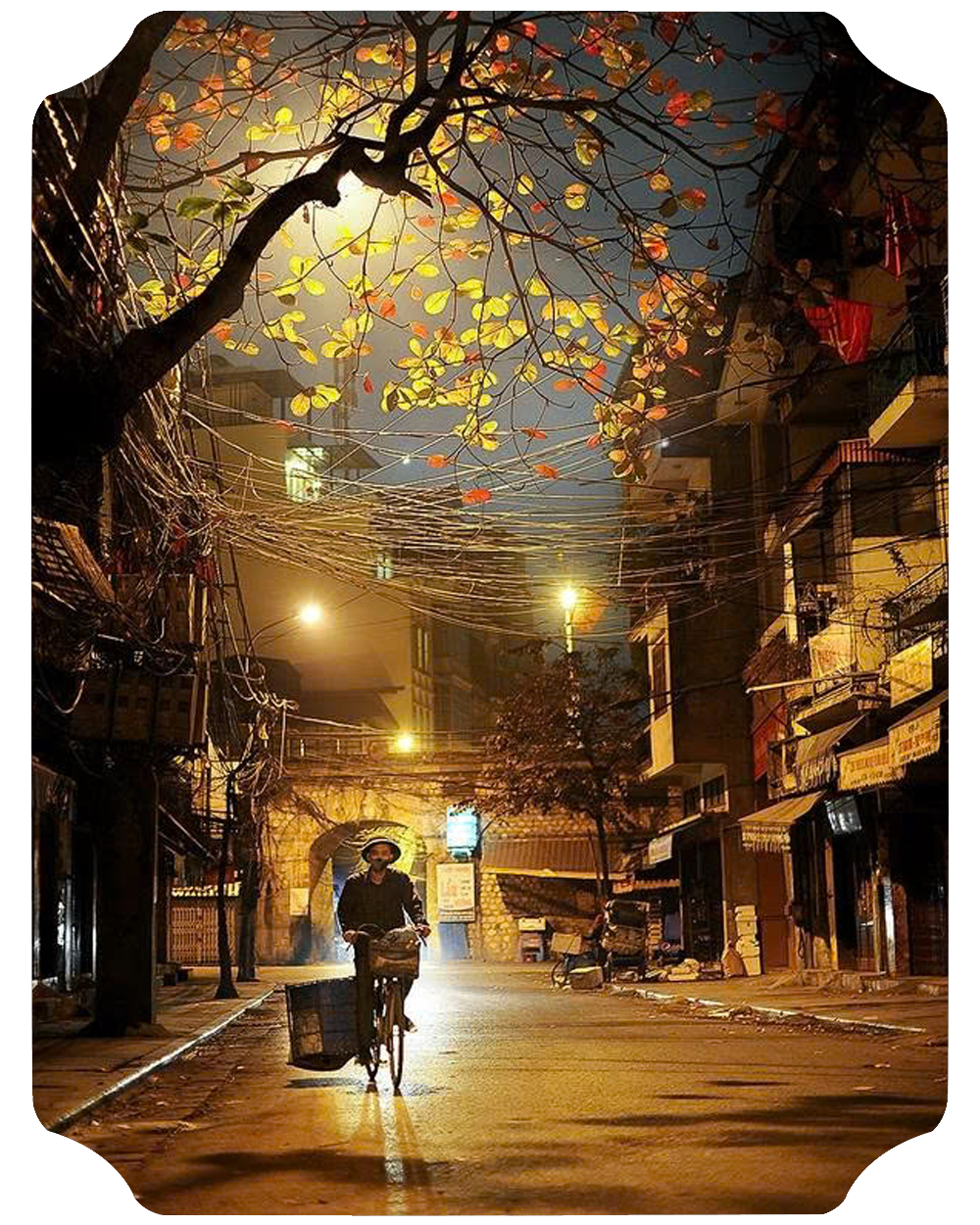 Life photography